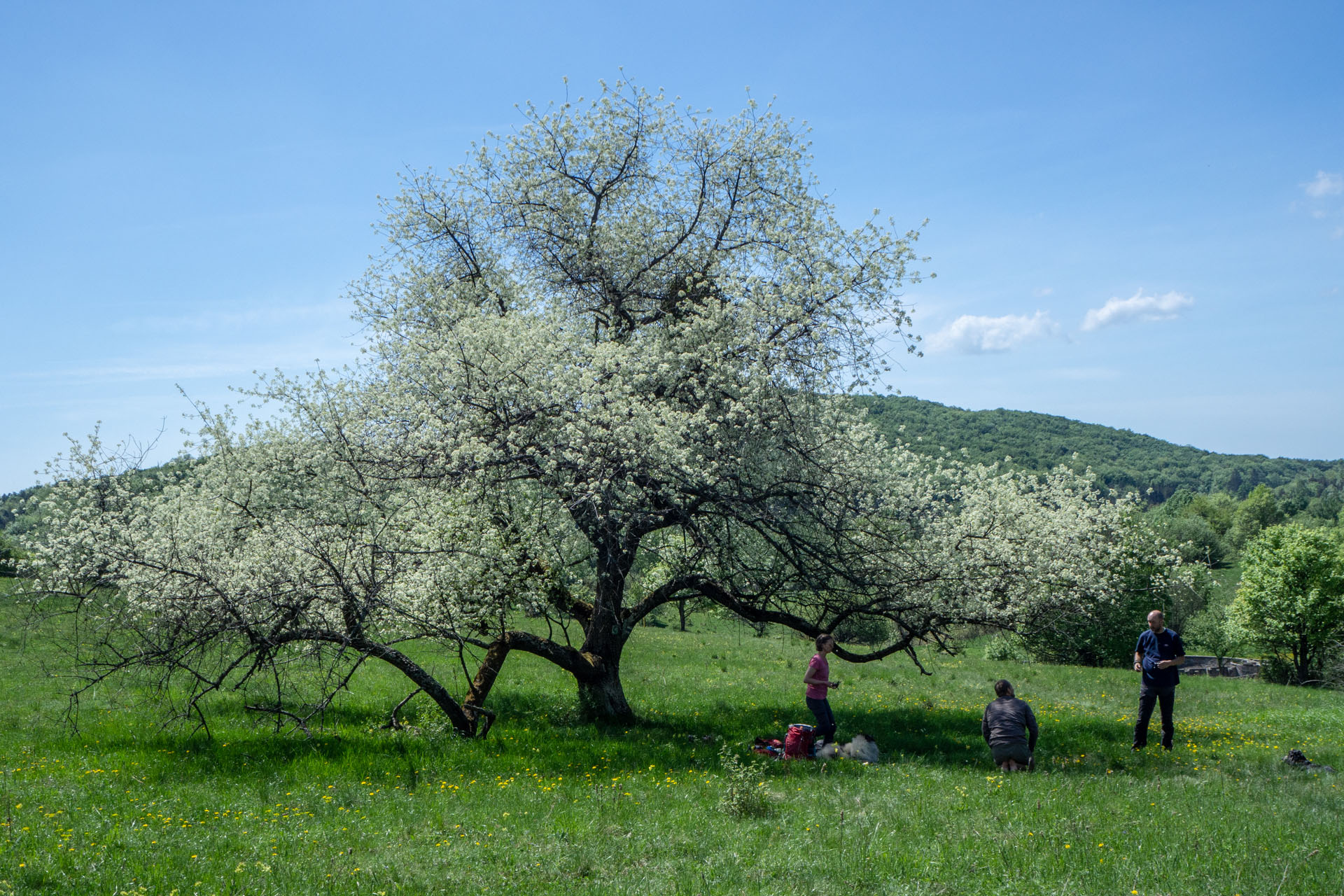 Gerlašská skala a Zvonárka z Honcov (Slovenský kras)