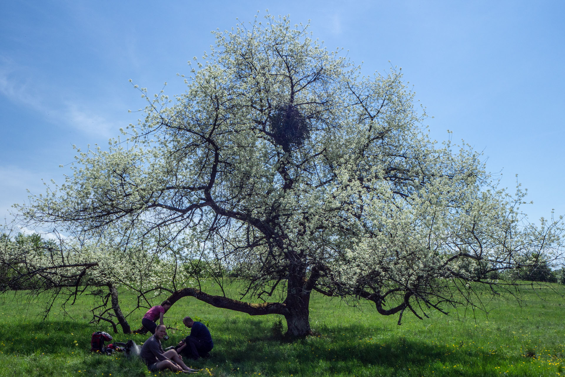 Gerlašská skala a Zvonárka z Honcov (Slovenský kras)