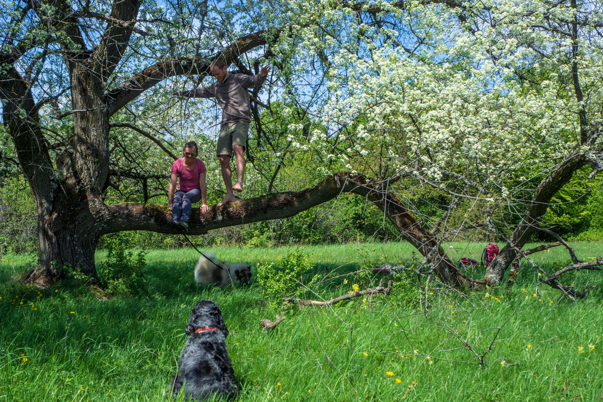 Gerlašská skala a Zvonárka z Honcov (Slovenský kras)