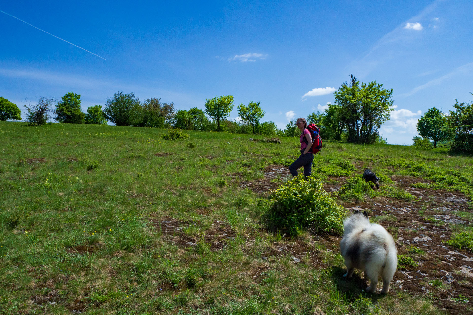 Gerlašská skala a Zvonárka z Honcov (Slovenský kras)