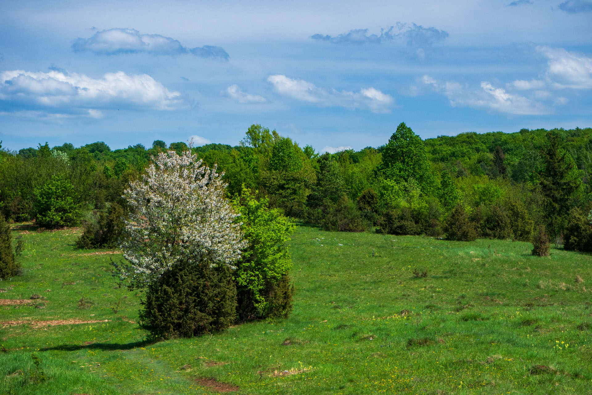 Gerlašská skala a Zvonárka z Honcov (Slovenský kras)