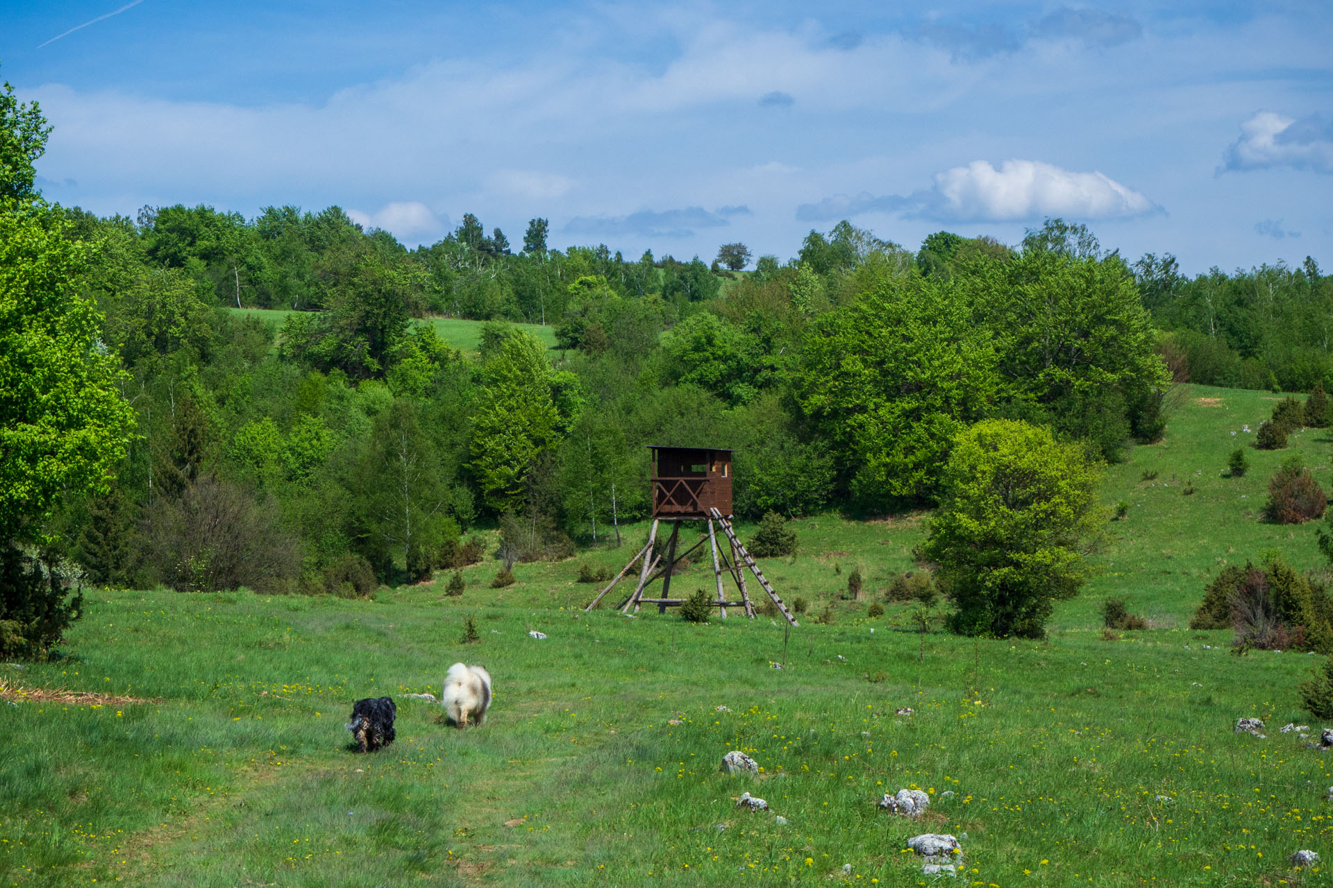 Gerlašská skala a Zvonárka z Honcov (Slovenský kras)