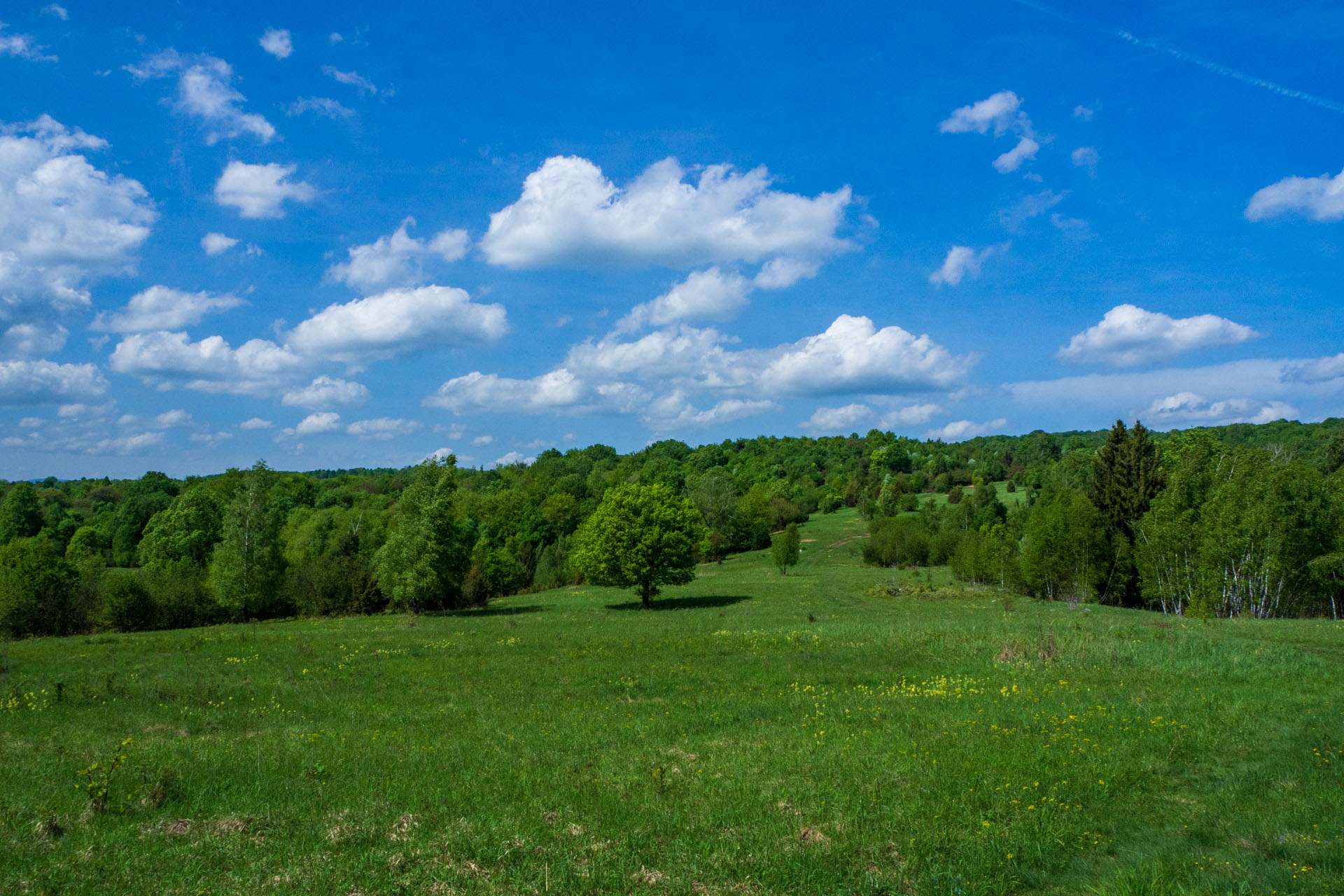 Gerlašská skala a Zvonárka z Honcov (Slovenský kras)