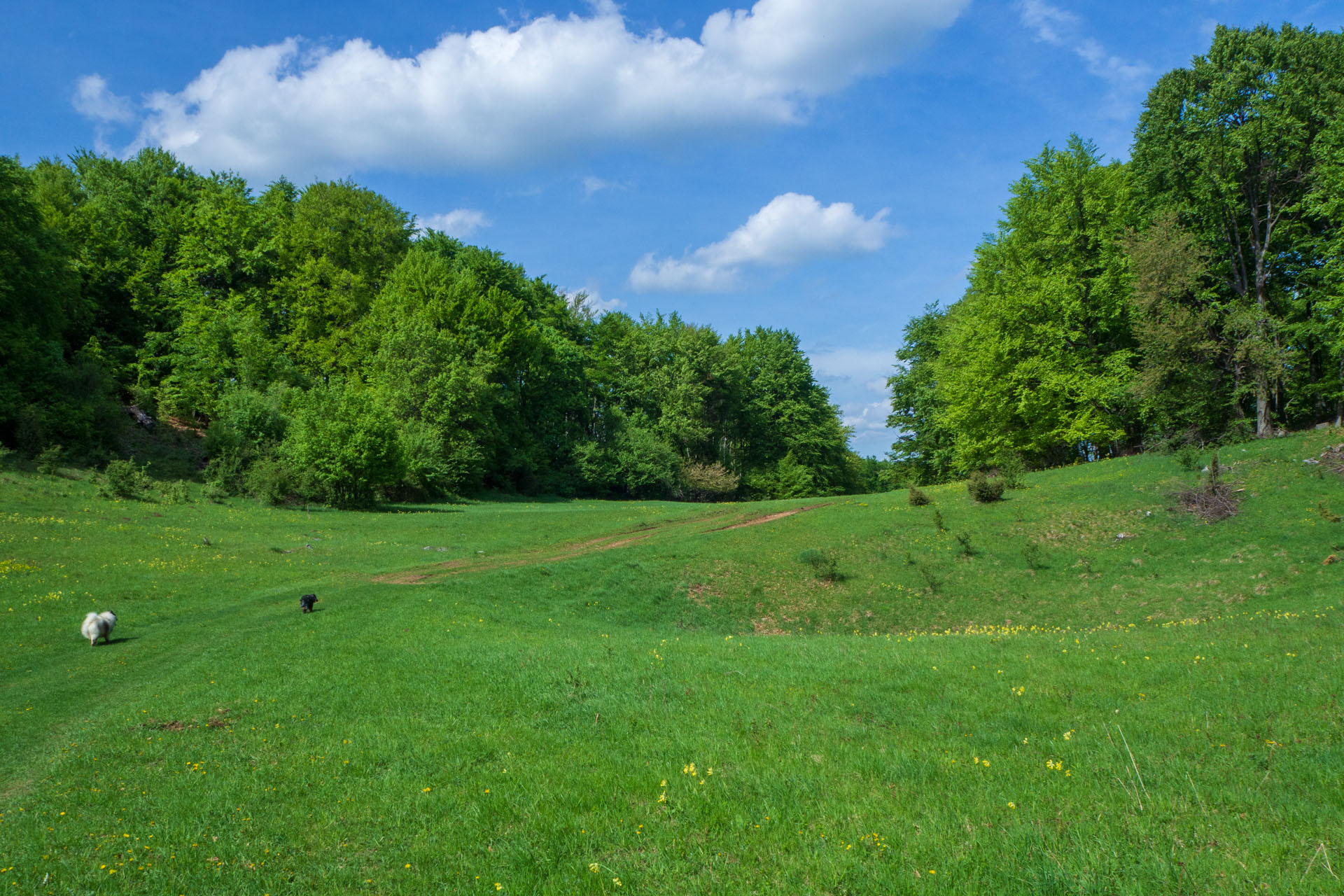 Gerlašská skala a Zvonárka z Honcov (Slovenský kras)