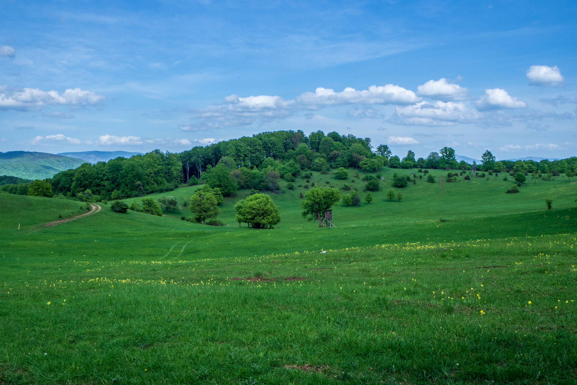 Gerlašská skala a Zvonárka z Honcov (Slovenský kras)