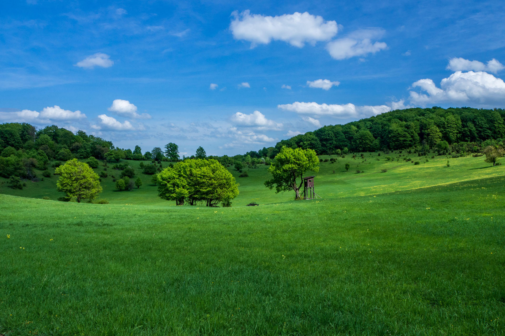 Gerlašská skala a Zvonárka z Honcov (Slovenský kras)