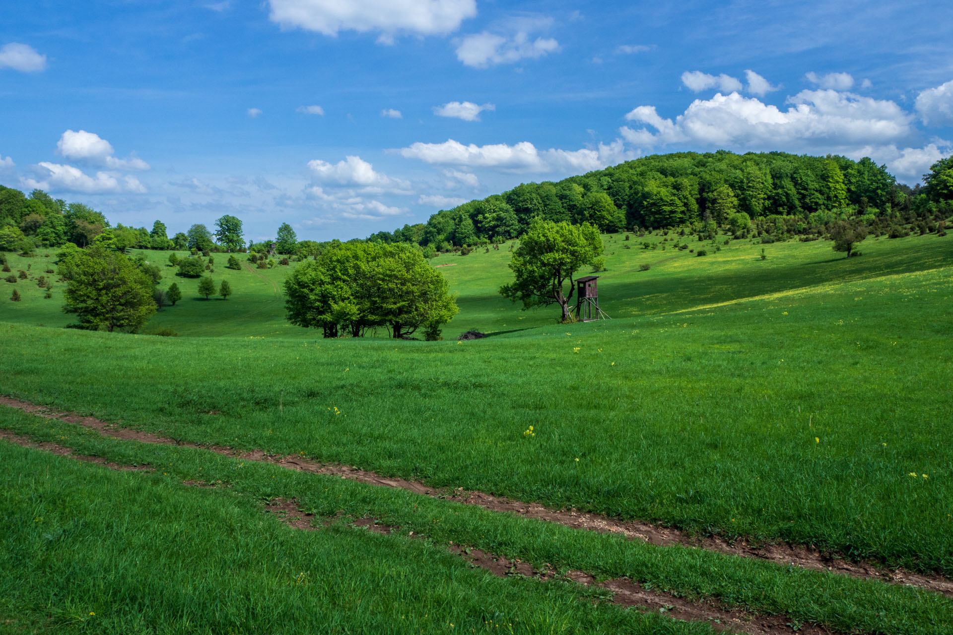 Gerlašská skala a Zvonárka z Honcov (Slovenský kras)