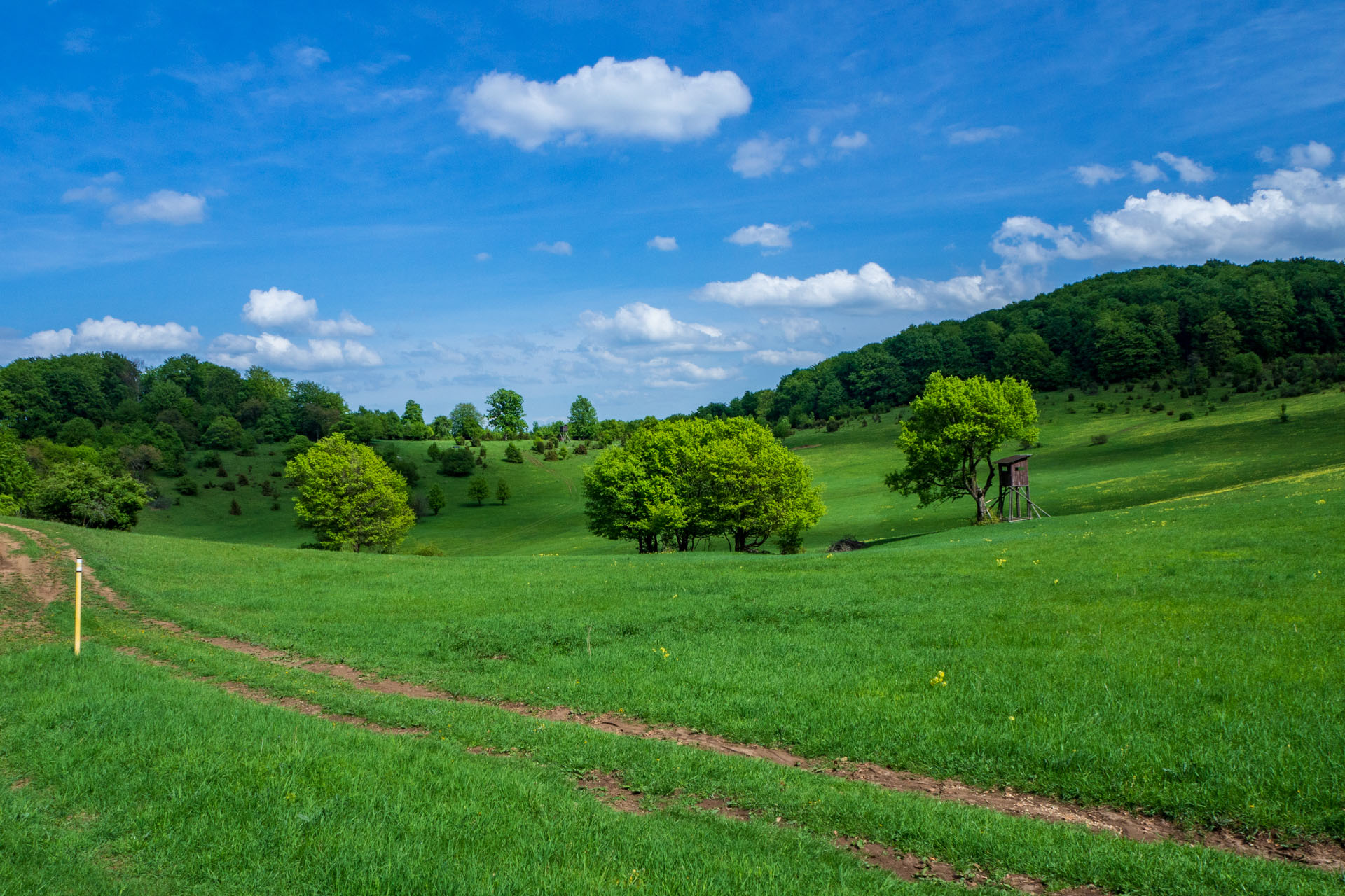 Gerlašská skala a Zvonárka z Honcov (Slovenský kras)