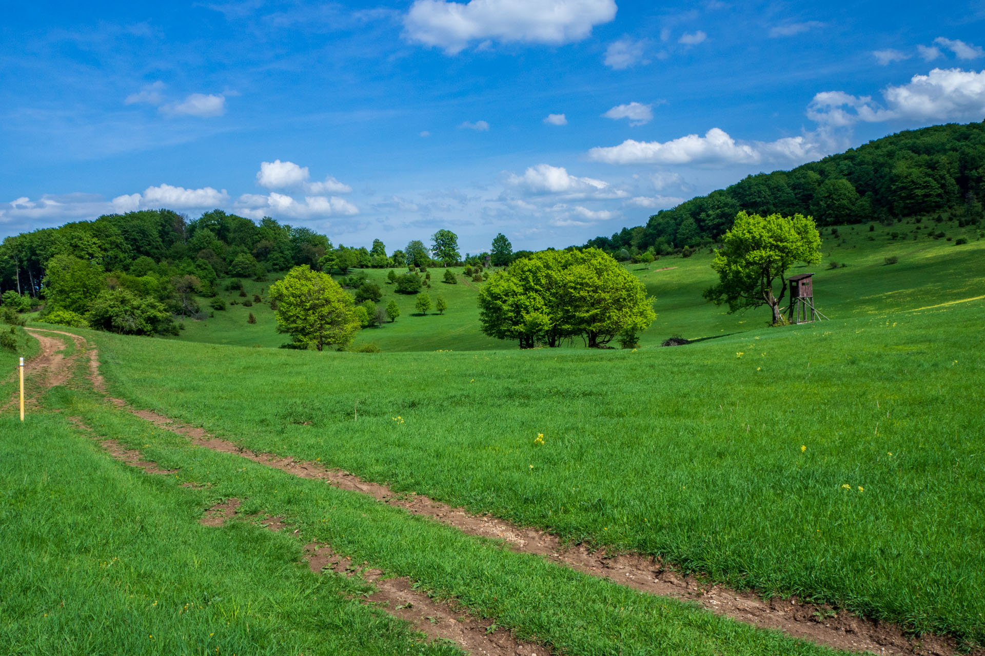 Gerlašská skala a Zvonárka z Honcov (Slovenský kras)