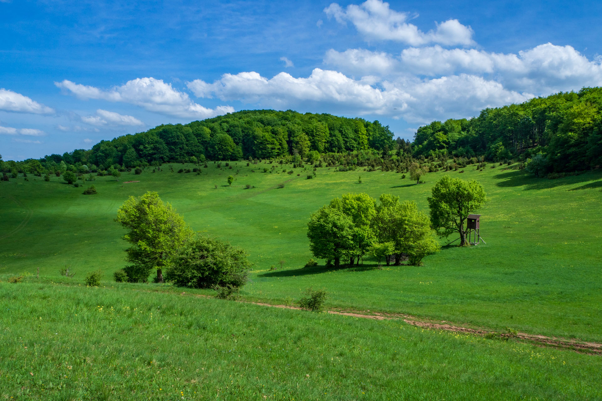 Gerlašská skala a Zvonárka z Honcov (Slovenský kras)