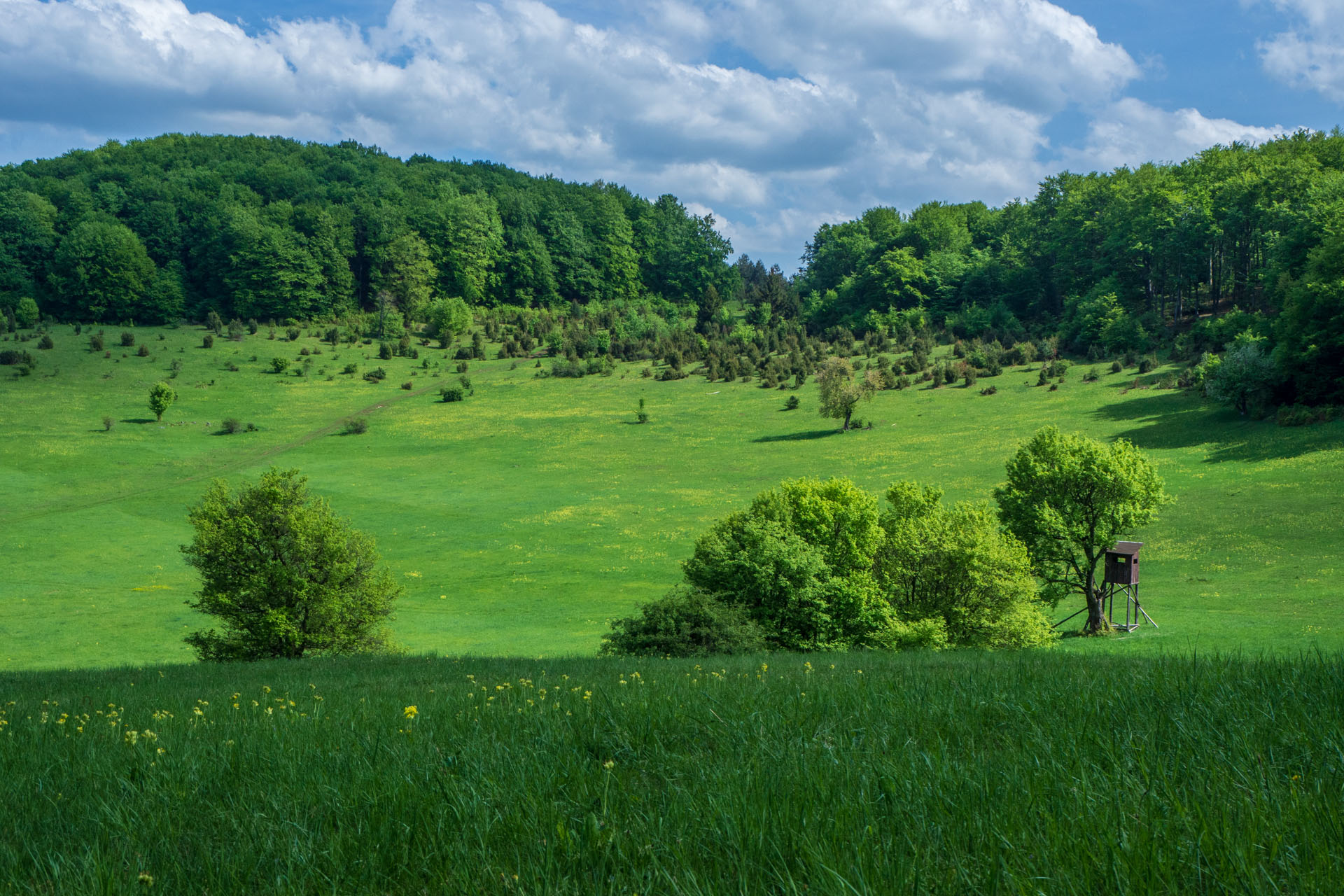 Gerlašská skala a Zvonárka z Honcov (Slovenský kras)