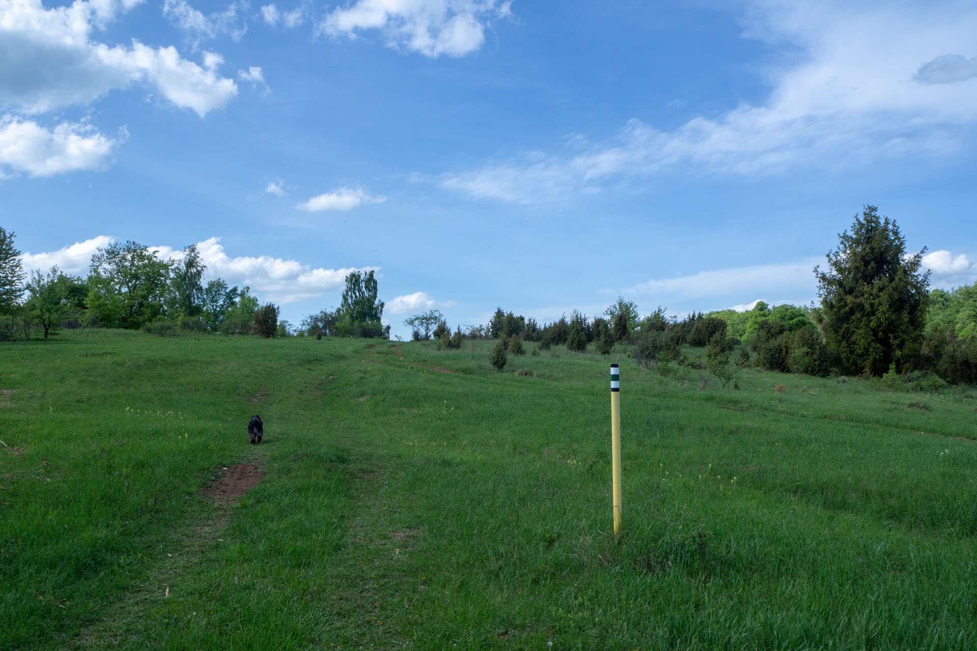 Gerlašská skala a Zvonárka z Honcov (Slovenský kras)