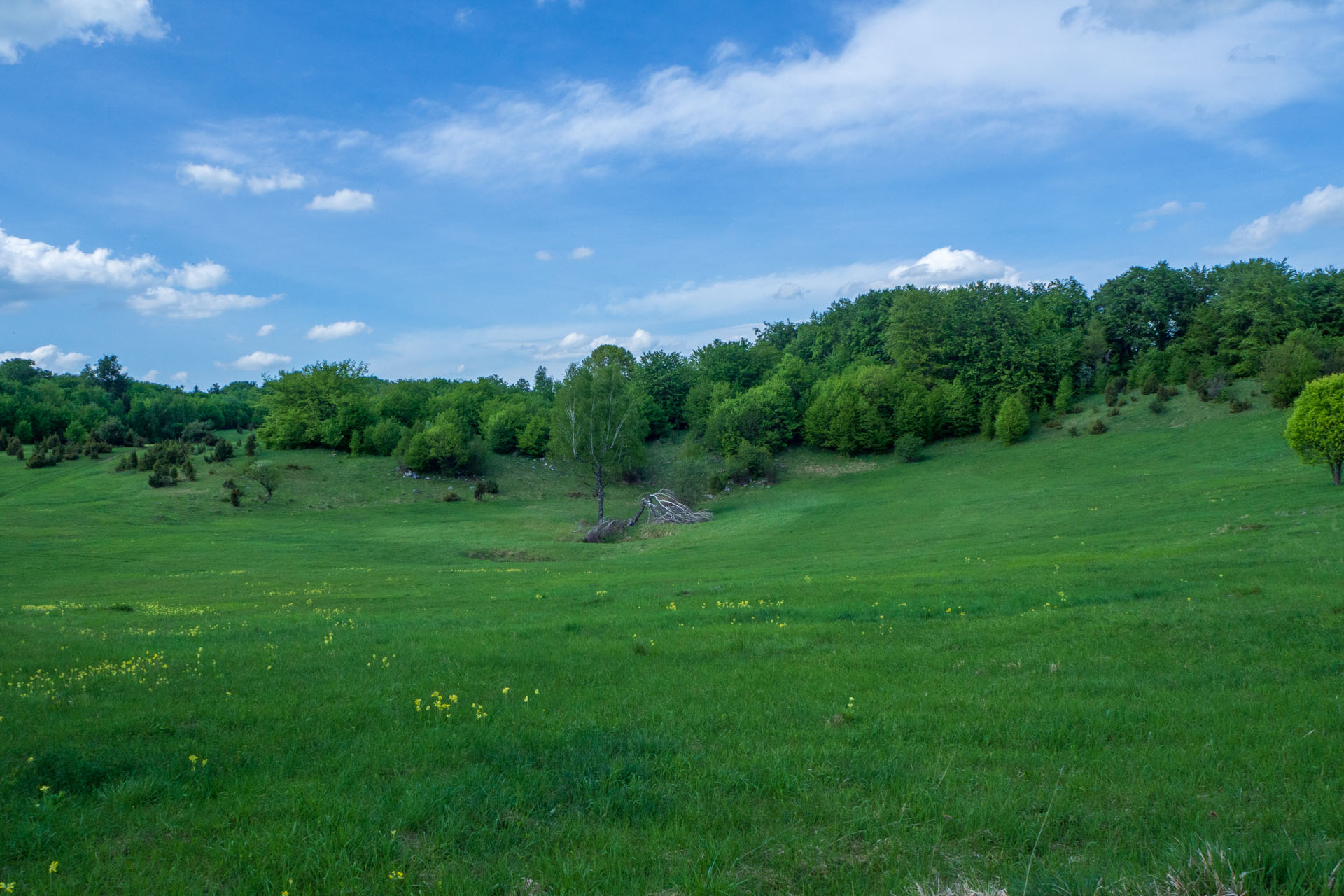 Gerlašská skala a Zvonárka z Honcov (Slovenský kras)