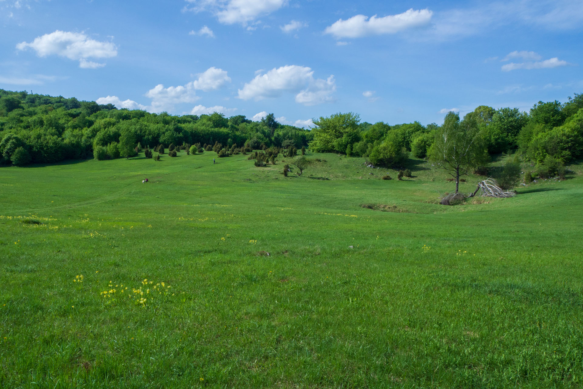 Gerlašská skala a Zvonárka z Honcov (Slovenský kras)