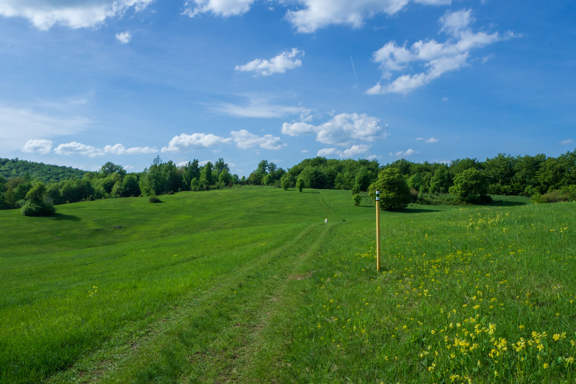 Gerlašská skala a Zvonárka z Honcov (Slovenský kras)