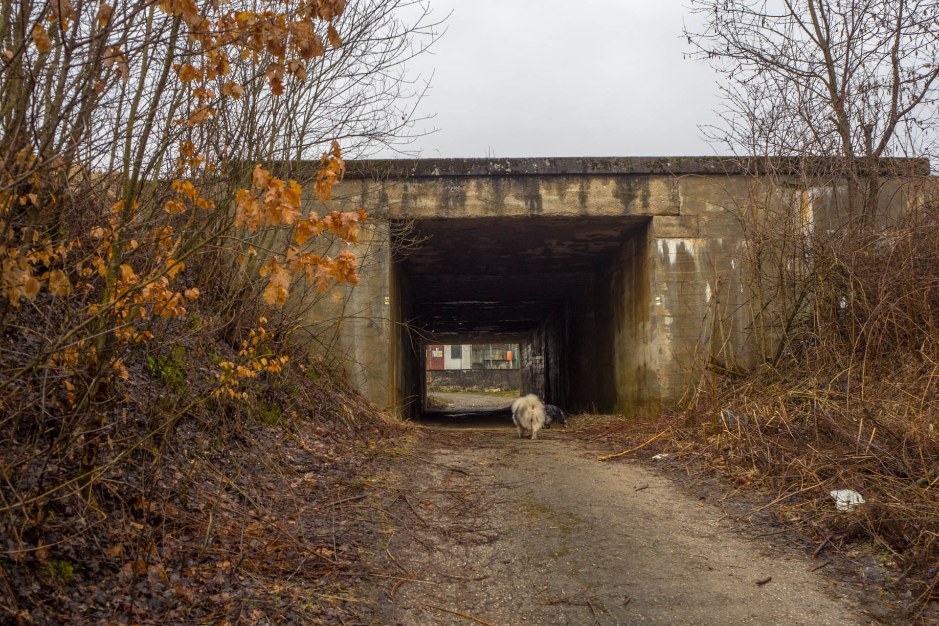 Koprášsky viadukt, Koprášsky a Slavošovský tunel zo Slavošoviec (Stolické vrchy)