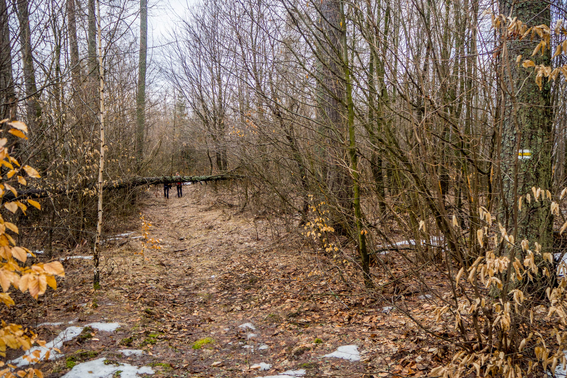 Koprášsky viadukt, Koprášsky a Slavošovský tunel zo Slavošoviec (Stolické vrchy)