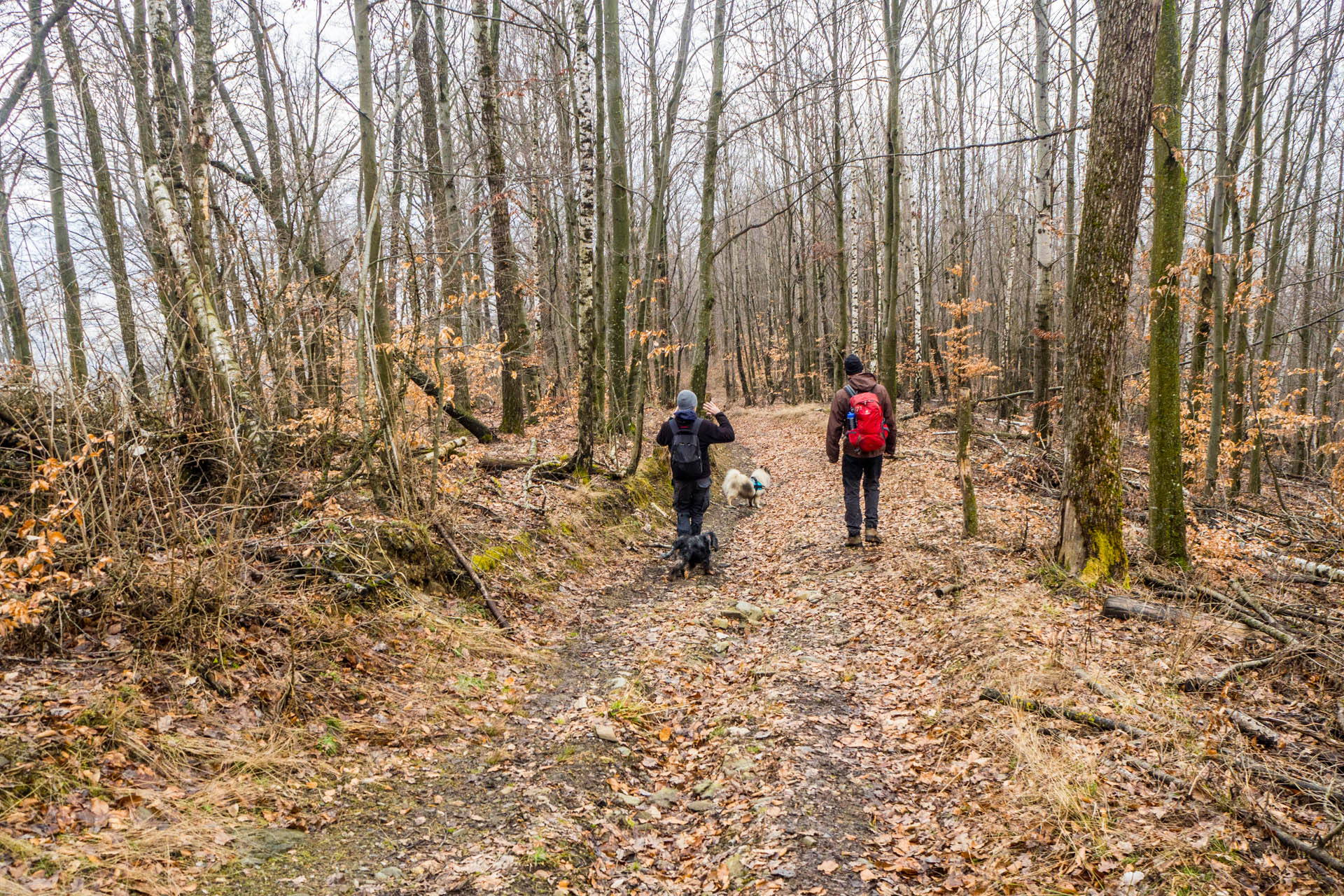 Koprášsky viadukt, Koprášsky a Slavošovský tunel zo Slavošoviec (Stolické vrchy)