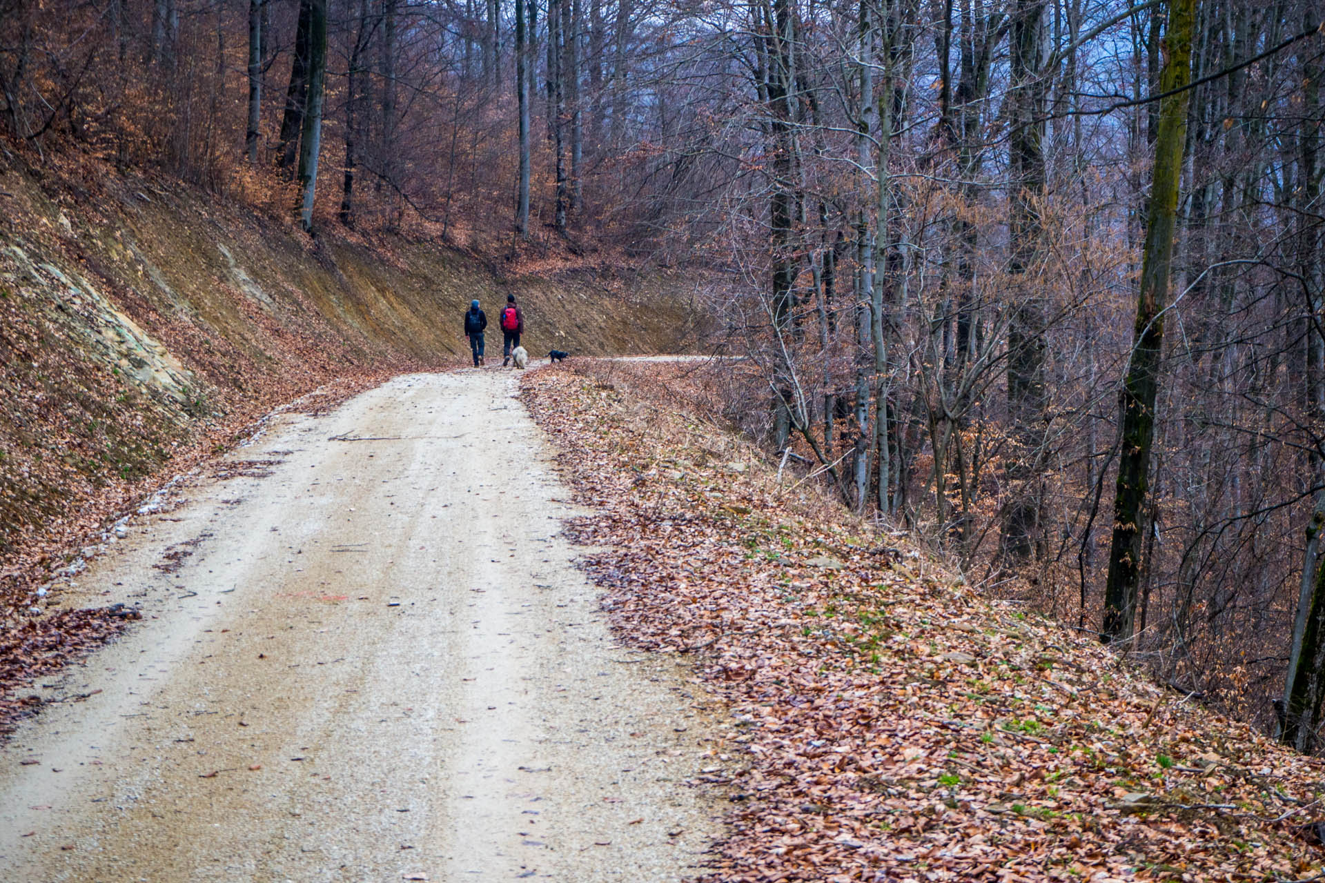 Koprášsky viadukt, Koprášsky a Slavošovský tunel zo Slavošoviec (Stolické vrchy)