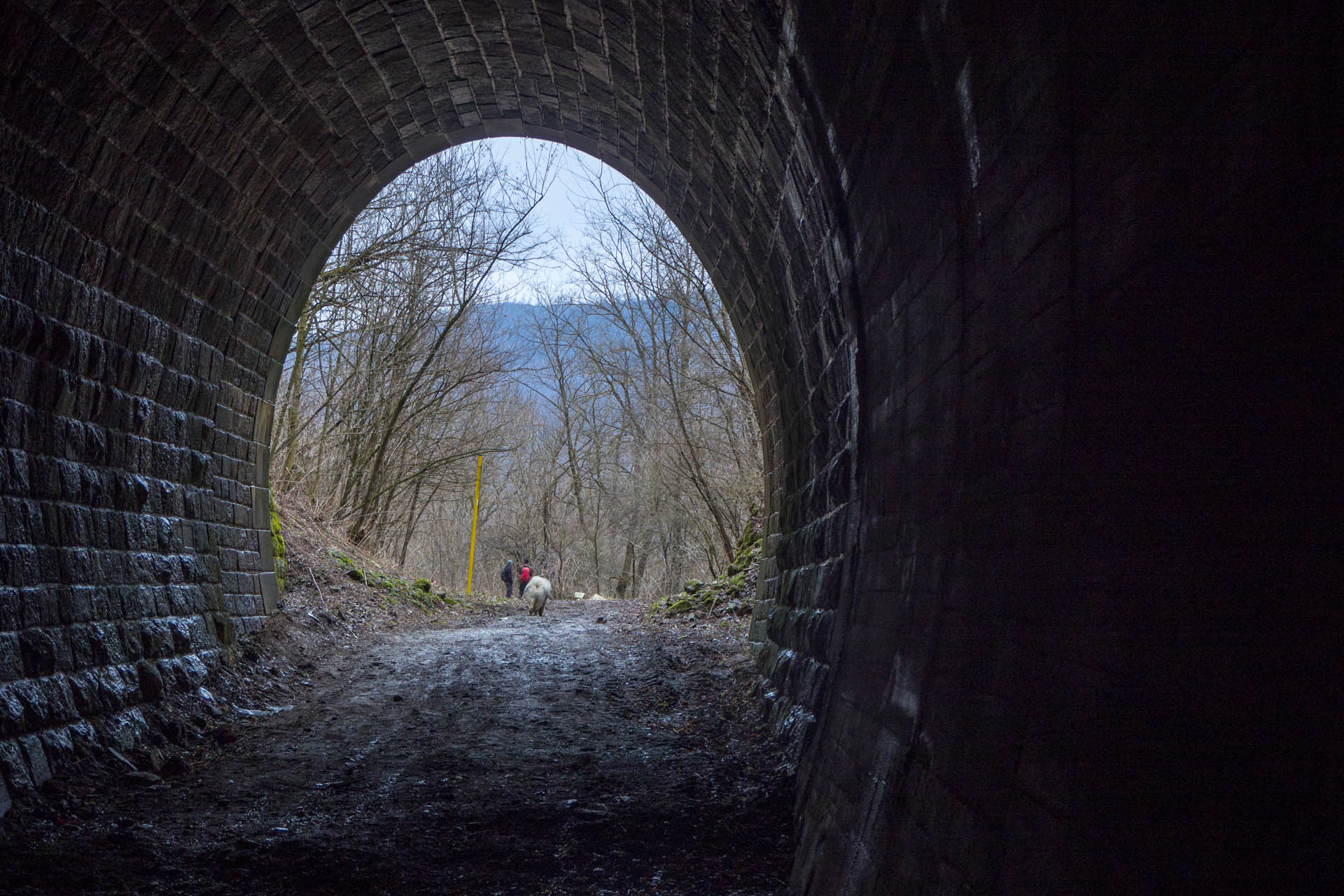 Koprášsky viadukt, Koprášsky a Slavošovský tunel zo Slavošoviec (Stolické vrchy)