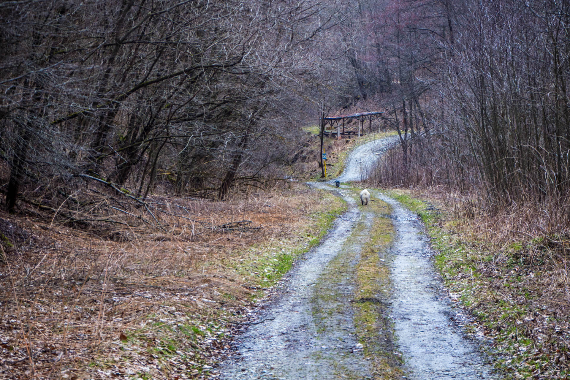 Koprášsky viadukt, Koprášsky a Slavošovský tunel zo Slavošoviec (Stolické vrchy)