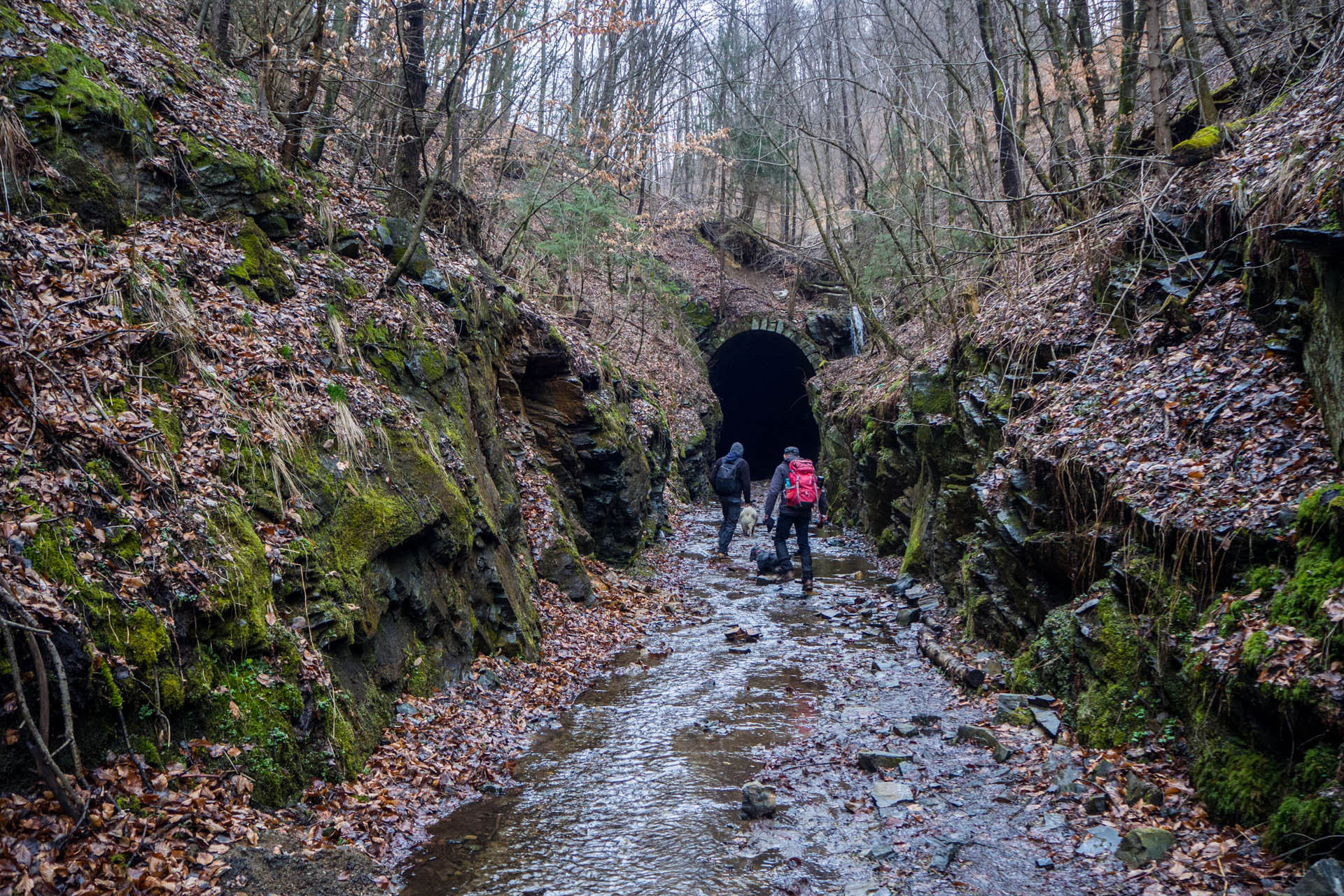 Koprášsky viadukt, Koprášsky a Slavošovský tunel zo Slavošoviec (Stolické vrchy)