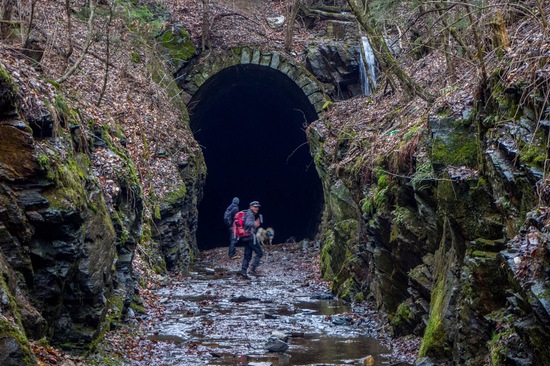 Koprášsky viadukt, Koprášsky a Slavošovský tunel zo Slavošoviec (Stolické vrchy)