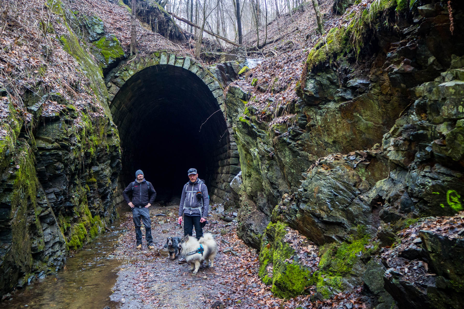 Koprášsky viadukt, Koprášsky a Slavošovský tunel zo Slavošoviec (Stolické vrchy)