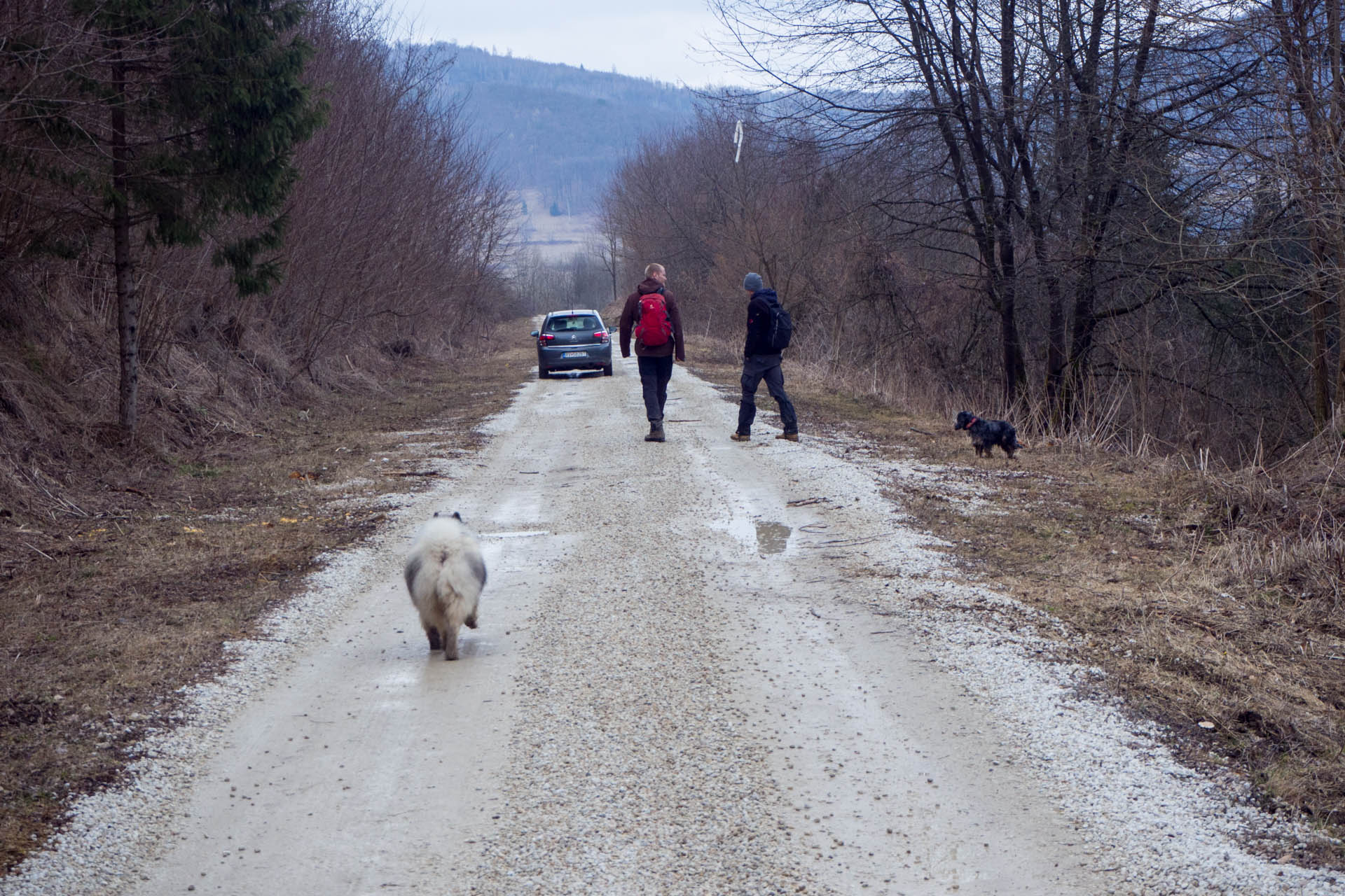 Koprášsky viadukt, Koprášsky a Slavošovský tunel zo Slavošoviec (Stolické vrchy)