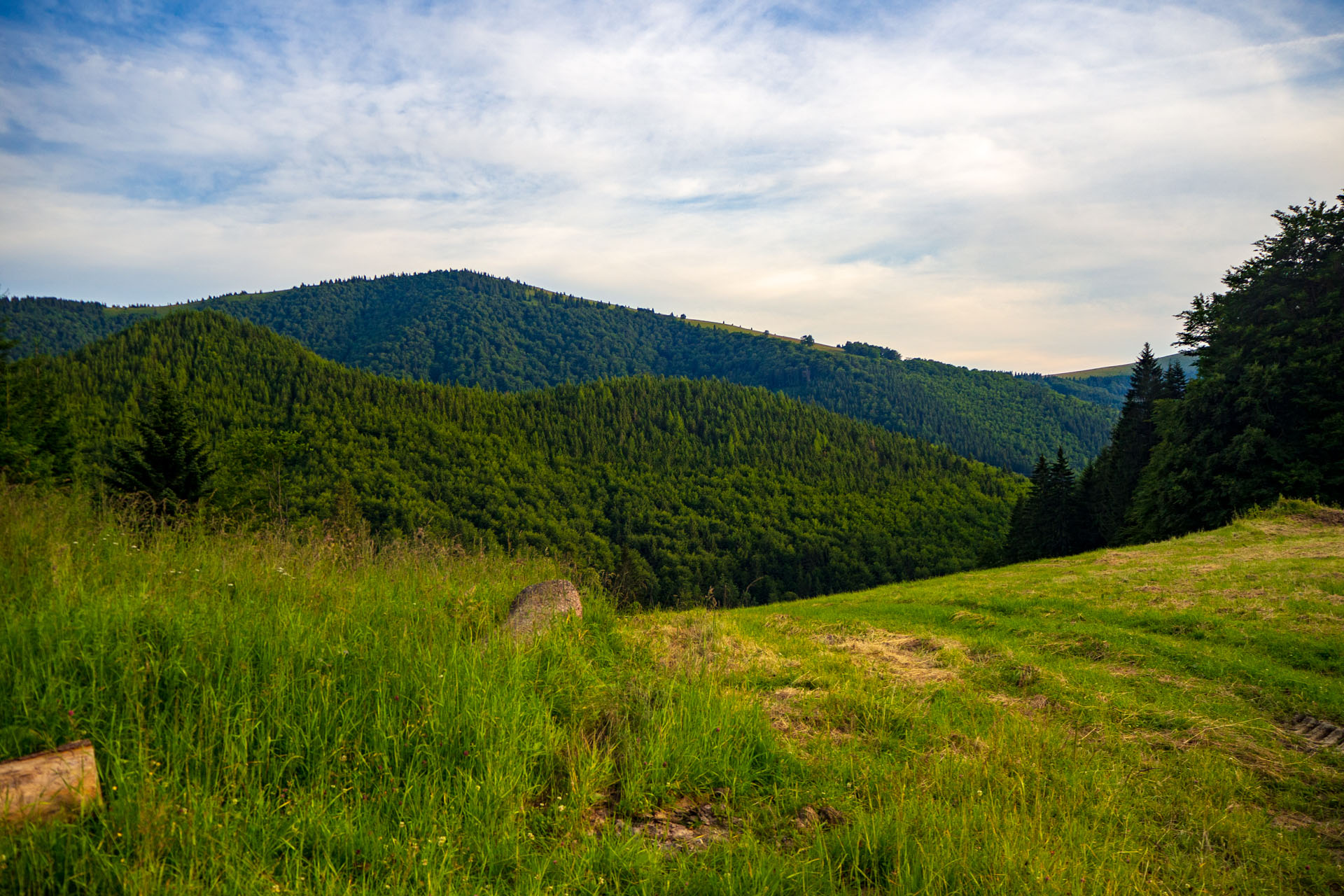 Korytnica - Hiadeľské sedlo (Nízke Tatry)