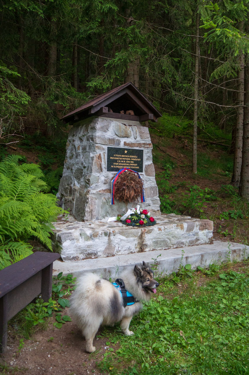 Korytnica - Hiadeľské sedlo (Nízke Tatry)