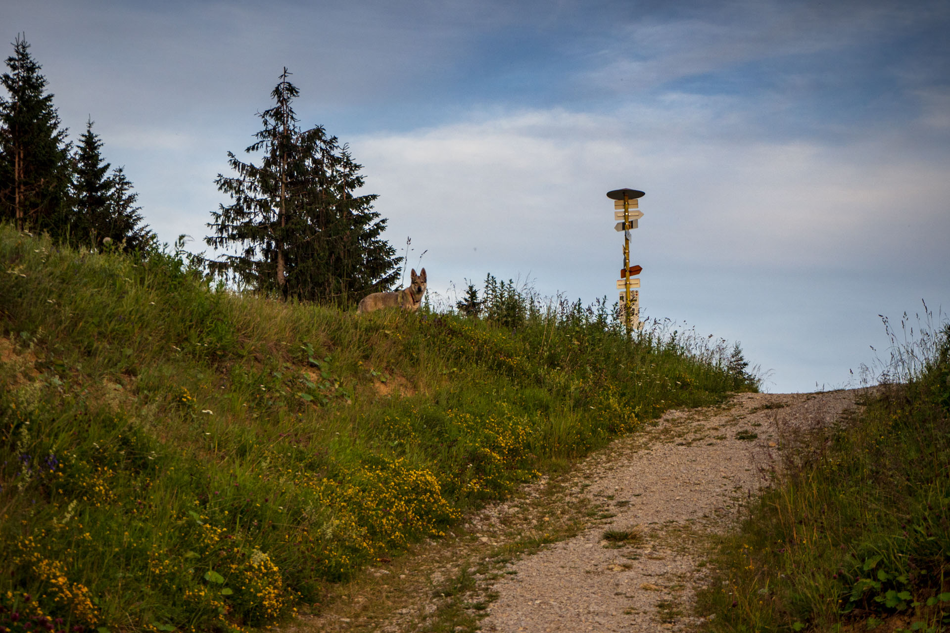 Korytnica - Hiadeľské sedlo (Nízke Tatry)