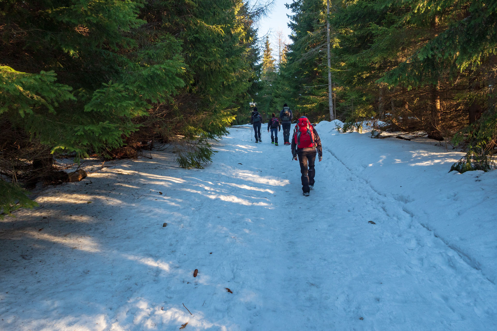 Kráľova hoľa zo Šumiaca (Nízke Tatry)