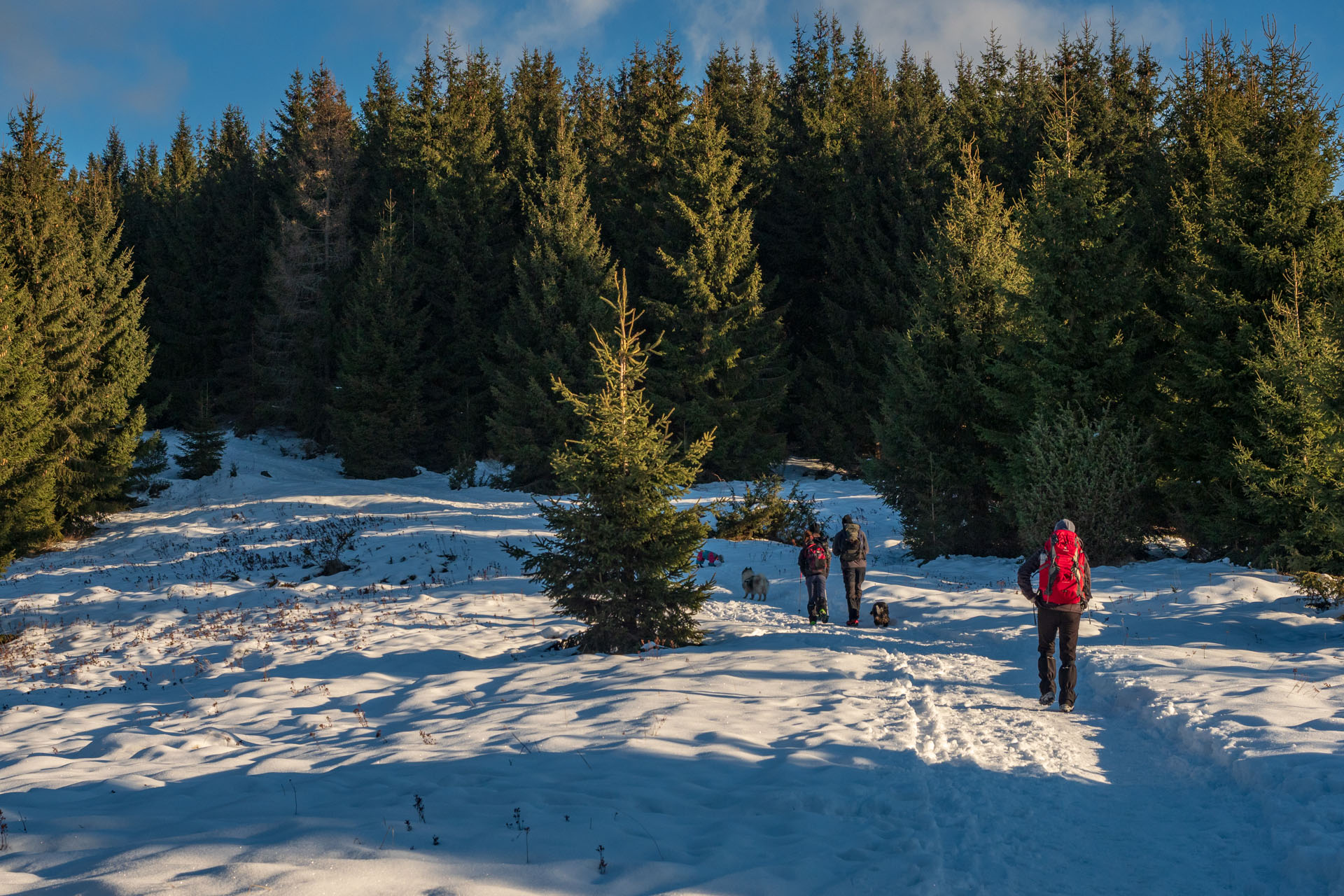 Kráľova hoľa zo Šumiaca (Nízke Tatry)