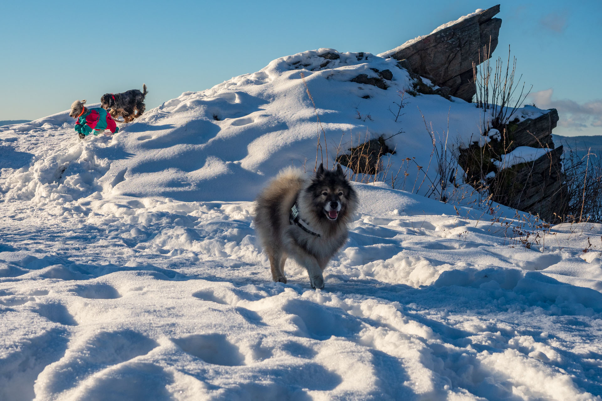 Kráľova hoľa zo Šumiaca (Nízke Tatry)