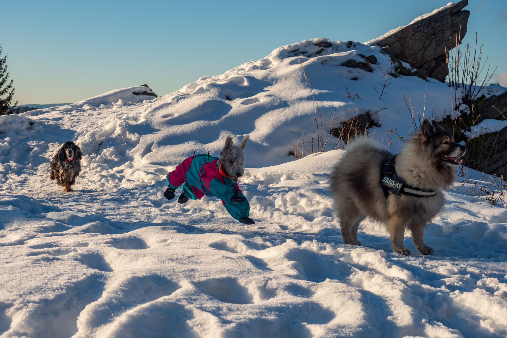 Kráľova hoľa zo Šumiaca (Nízke Tatry)