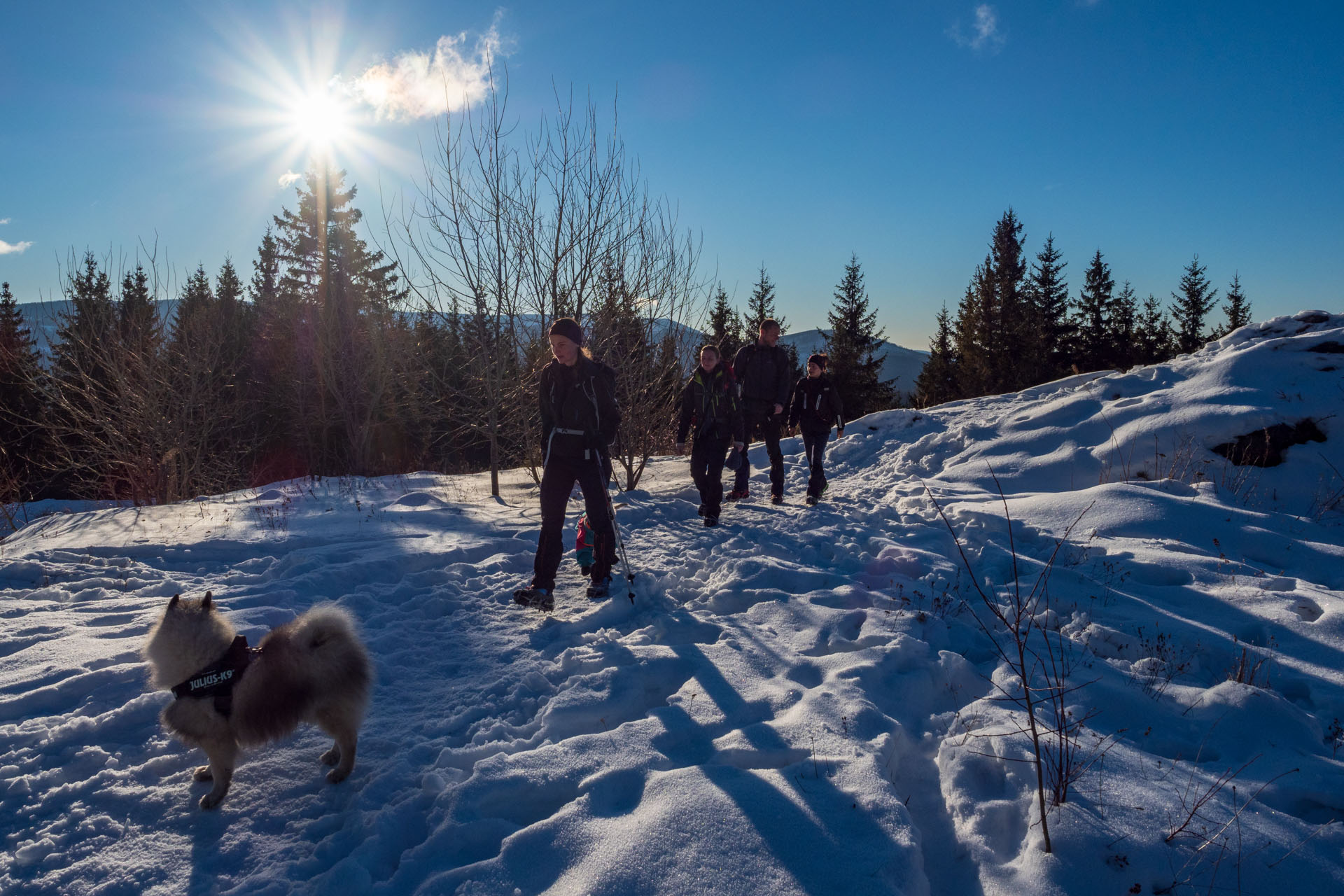 Kráľova hoľa zo Šumiaca (Nízke Tatry)