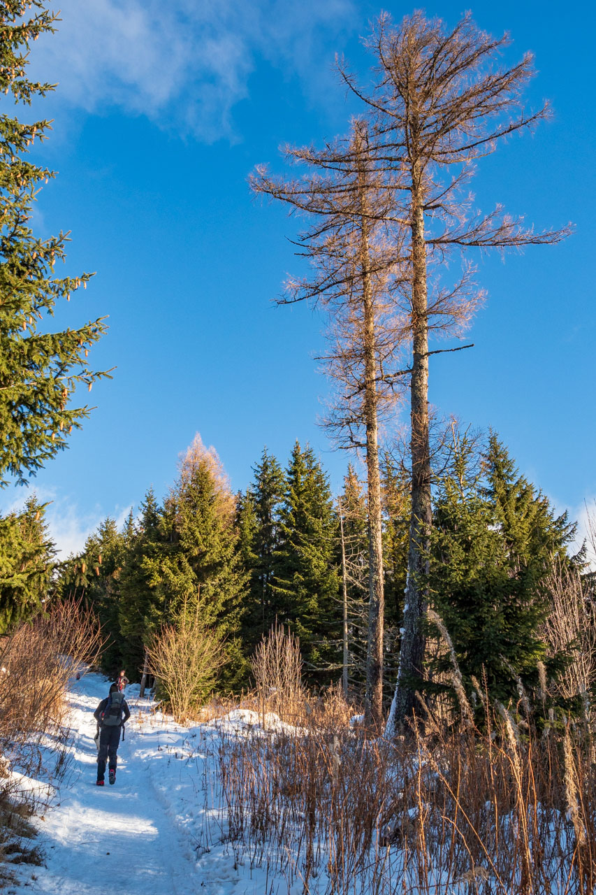 Kráľova hoľa zo Šumiaca (Nízke Tatry)