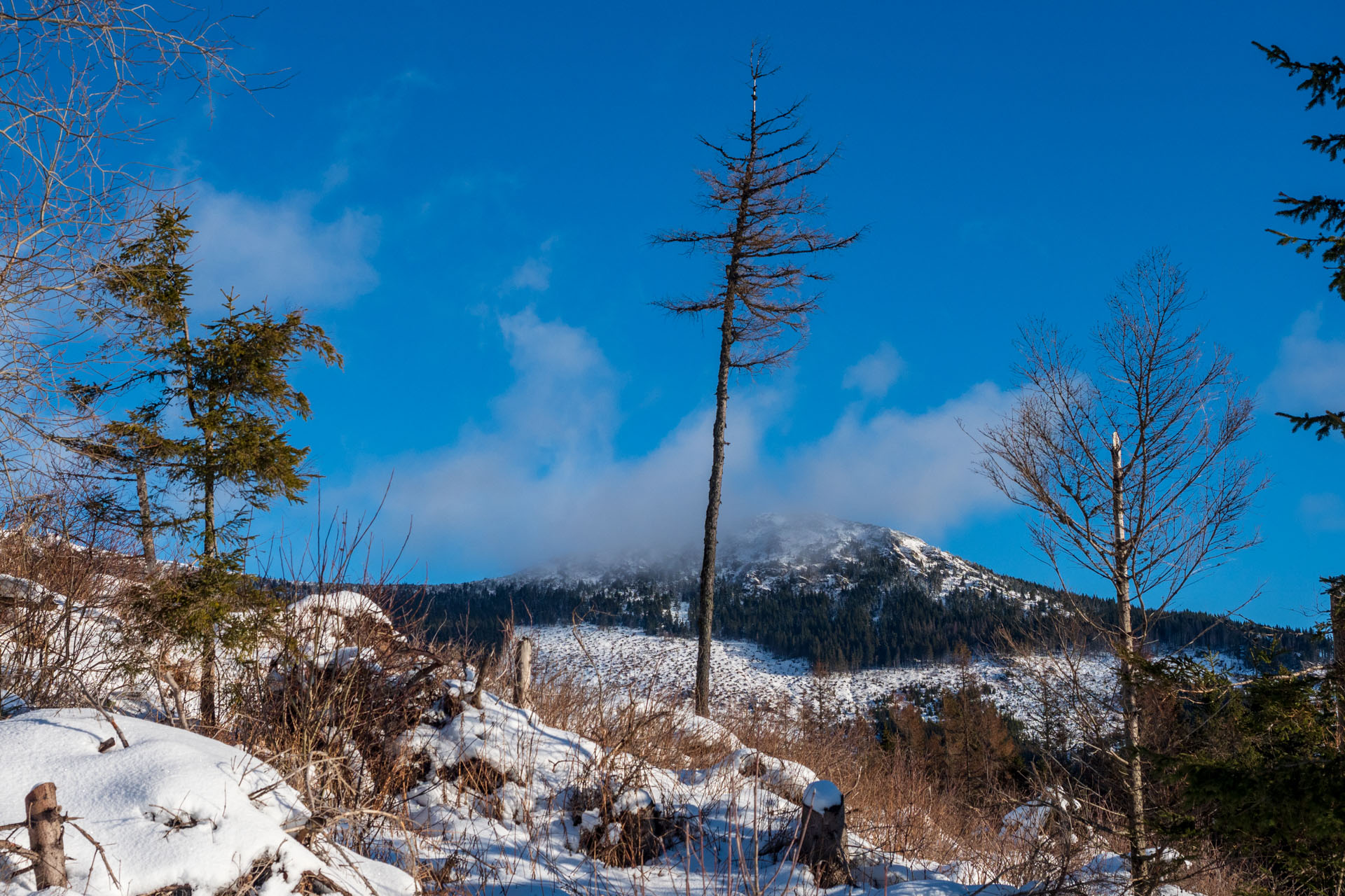 Kráľova hoľa zo Šumiaca (Nízke Tatry)