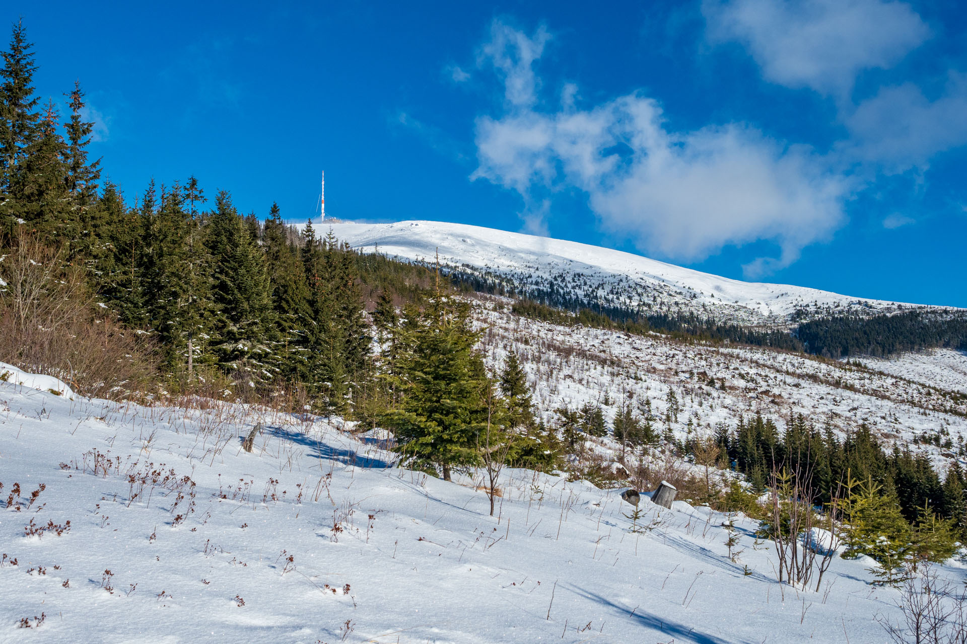 Kráľova hoľa zo Šumiaca (Nízke Tatry)