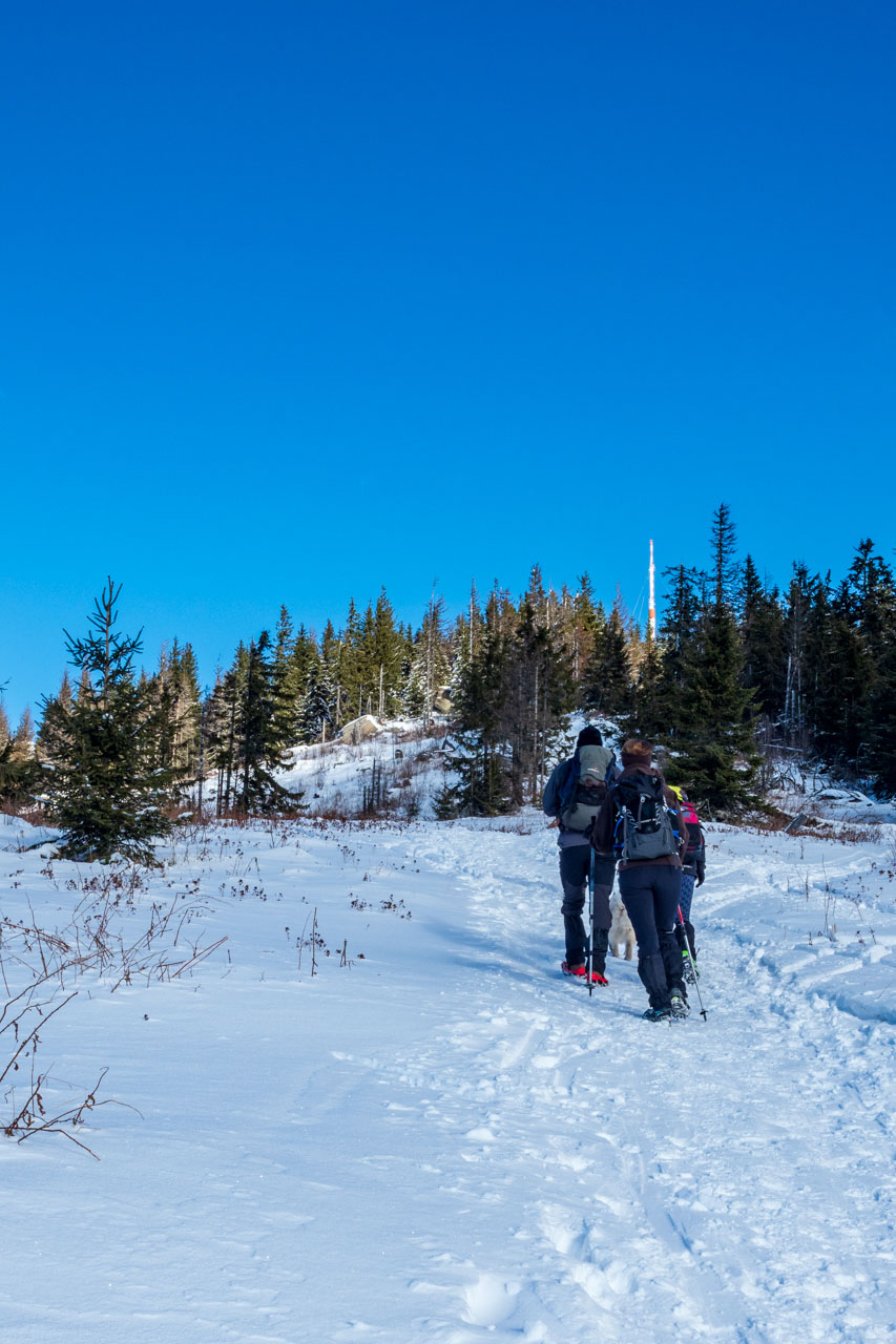 Kráľova hoľa zo Šumiaca (Nízke Tatry)