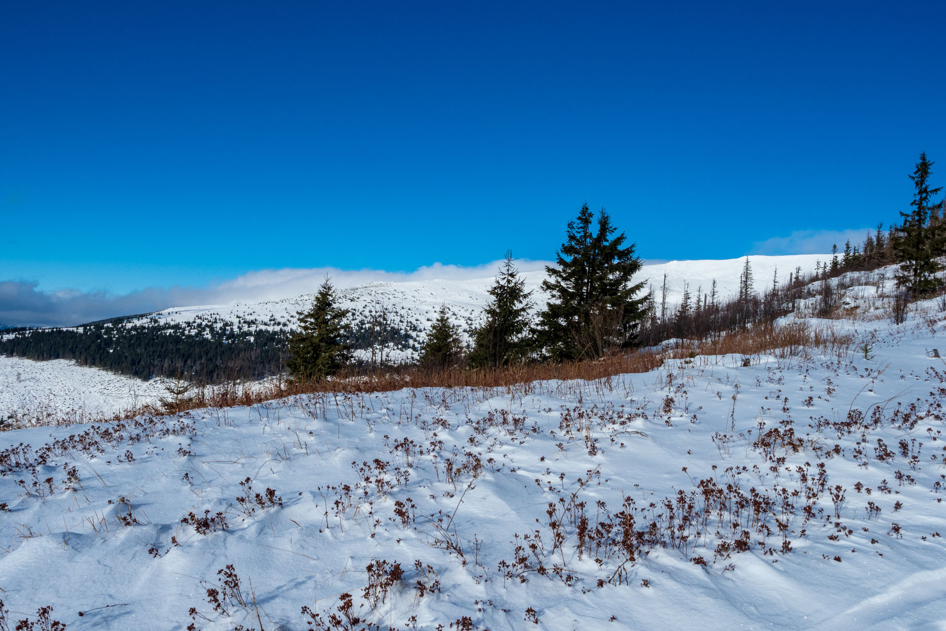 Kráľova hoľa zo Šumiaca (Nízke Tatry)