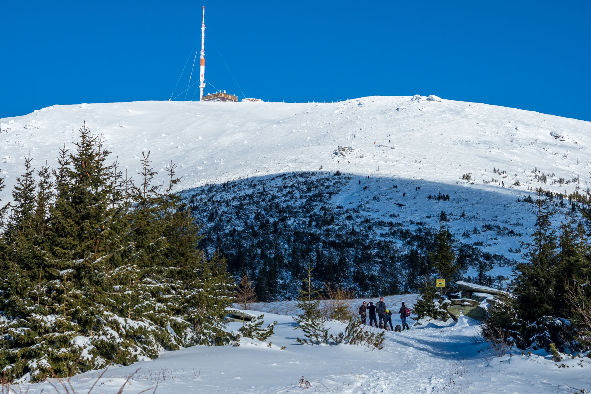 Kráľova hoľa zo Šumiaca (Nízke Tatry)