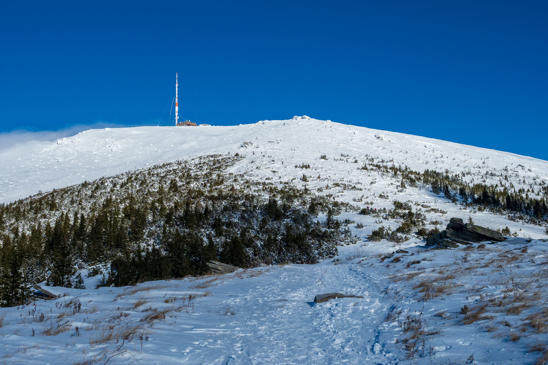 Kráľova hoľa zo Šumiaca (Nízke Tatry)