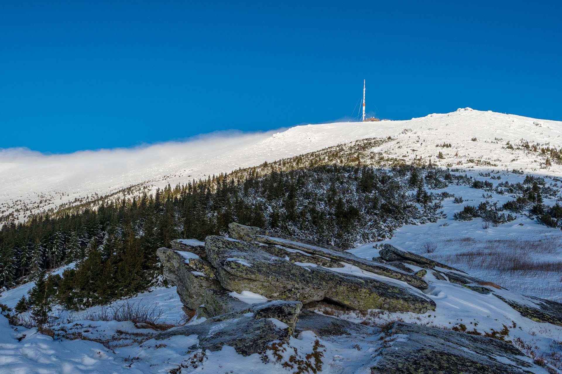 Kráľova hoľa zo Šumiaca (Nízke Tatry)