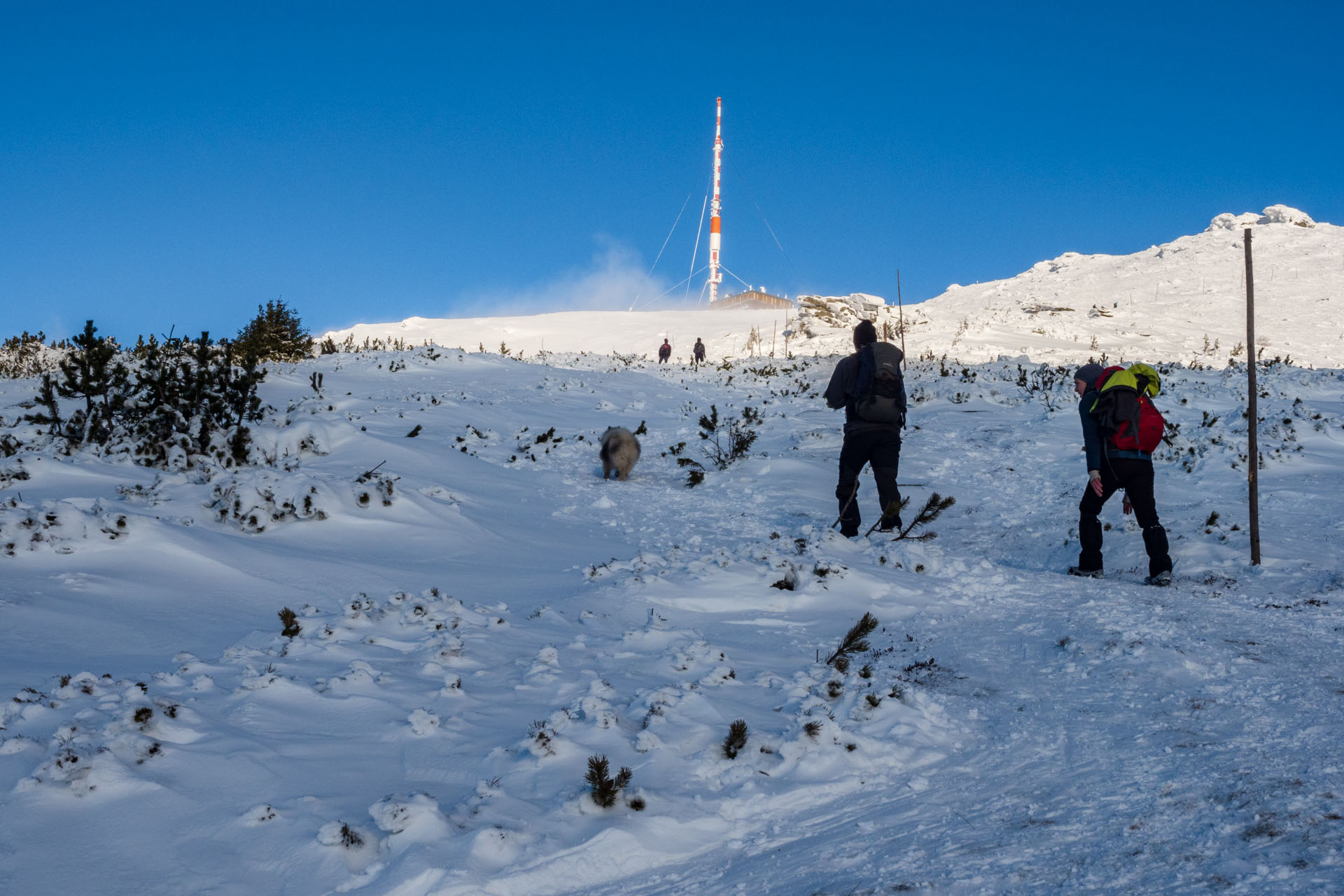 Kráľova hoľa zo Šumiaca (Nízke Tatry)