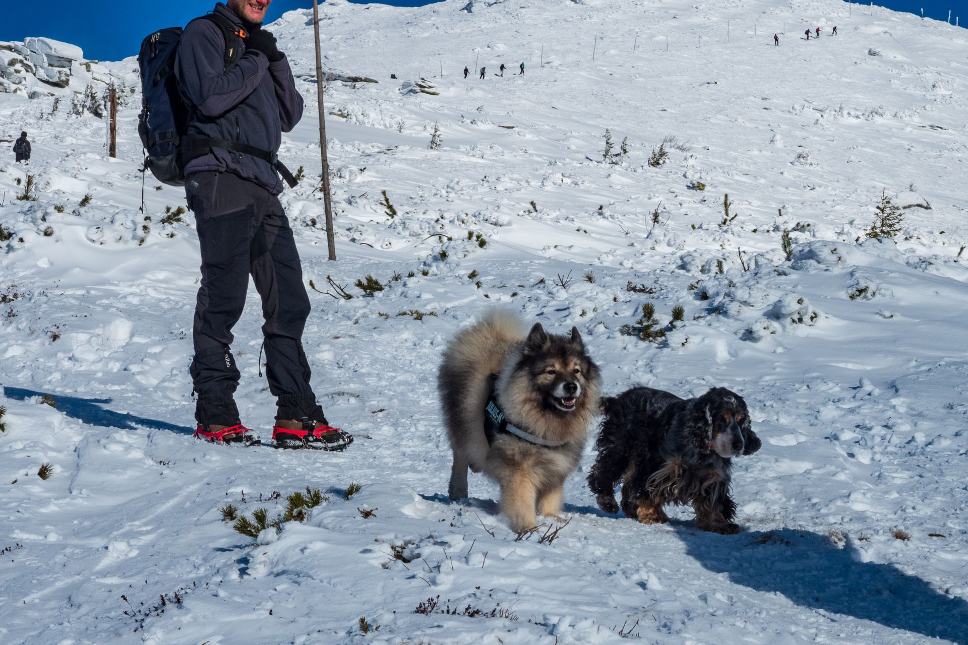 Kráľova hoľa zo Šumiaca (Nízke Tatry)