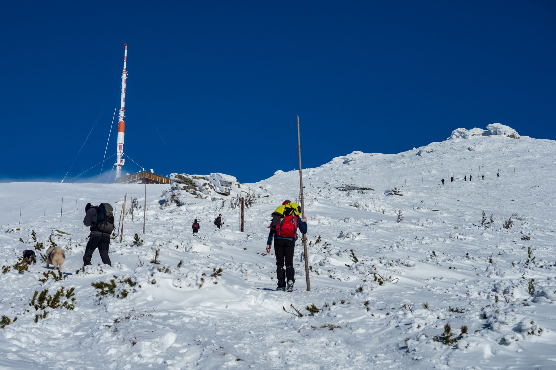 Kráľova hoľa zo Šumiaca (Nízke Tatry)