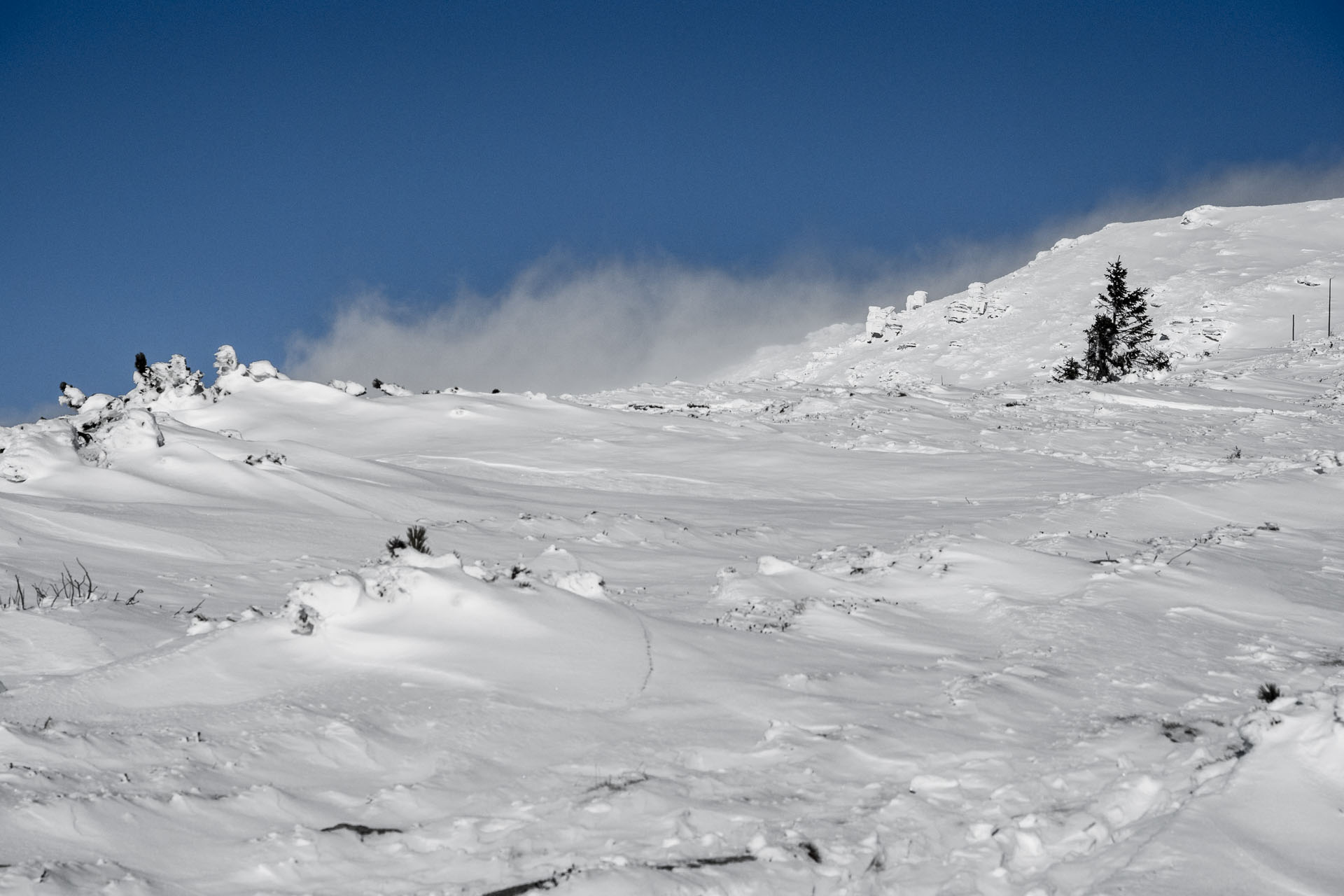 Kráľova hoľa zo Šumiaca (Nízke Tatry)