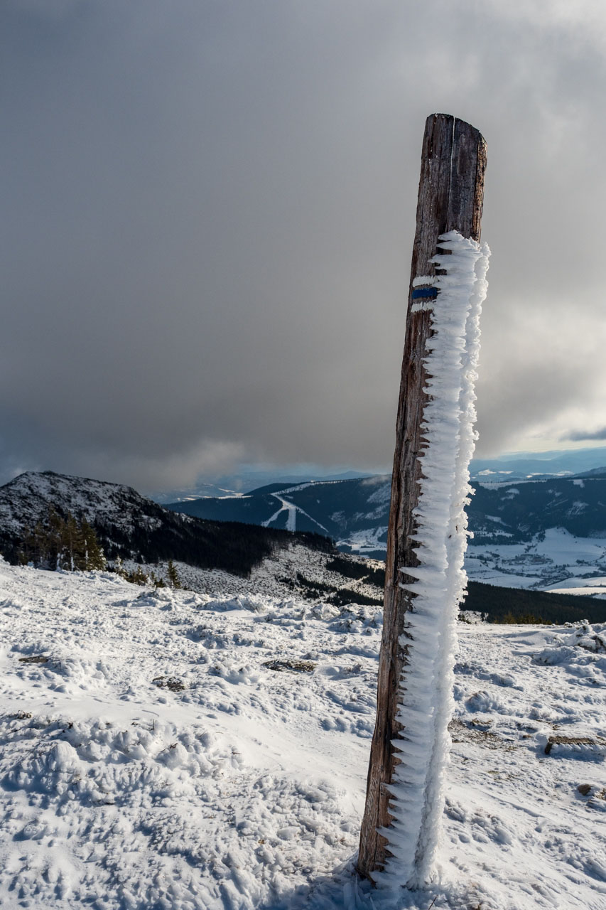 Kráľova hoľa zo Šumiaca (Nízke Tatry)